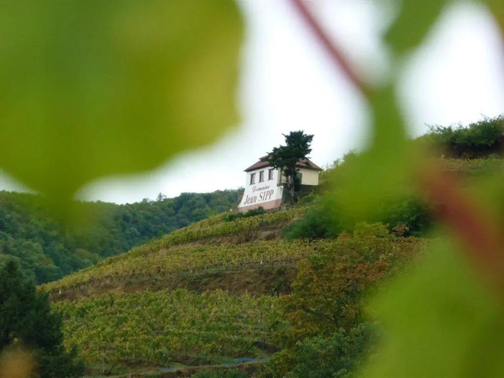 Domaine Jean Sipp