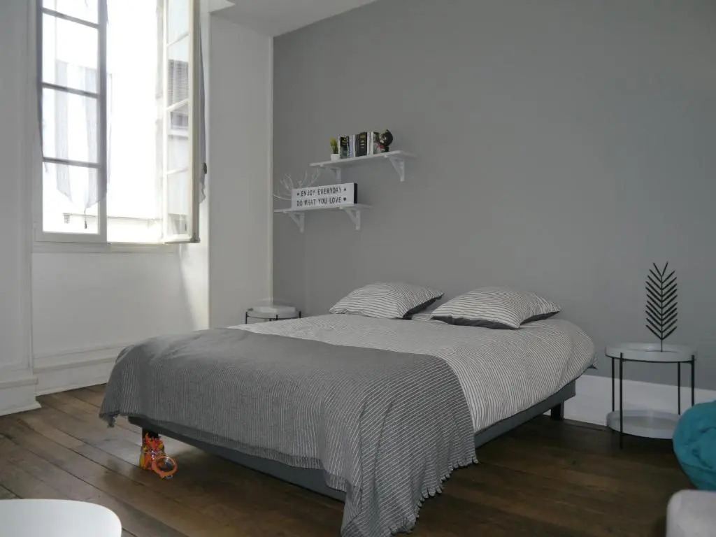 Appartement hypercentre Tarbes - 2 grandes chambres