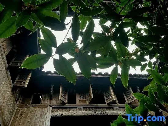Tonglu Yetao Homestay