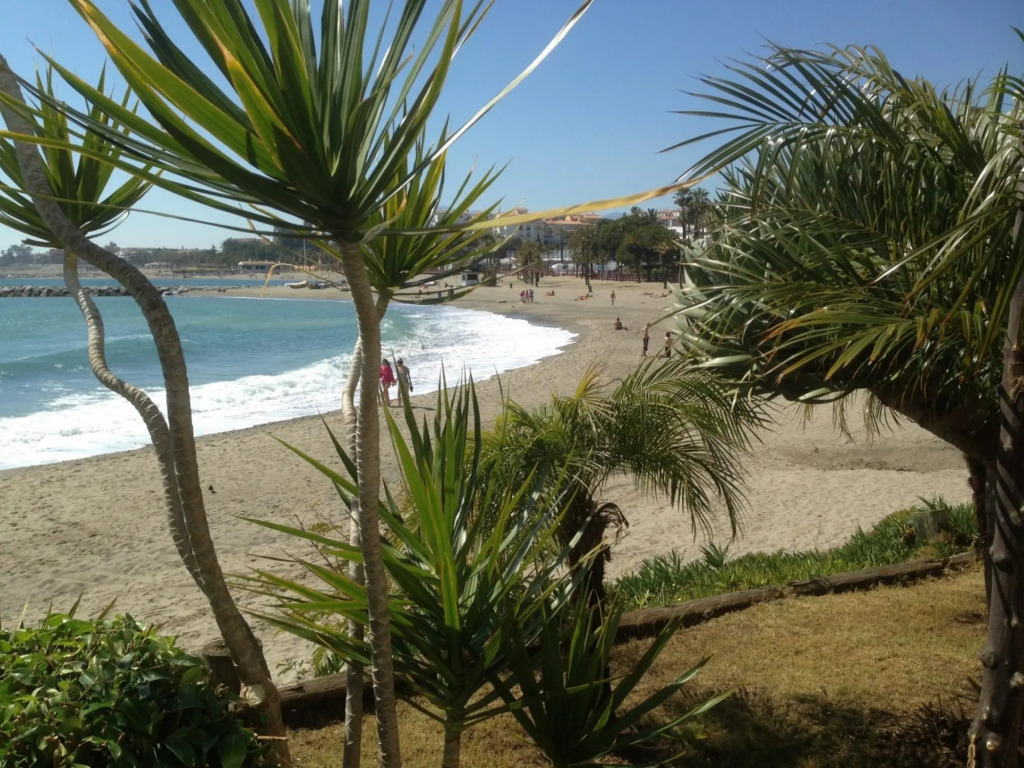 29736 - Beachside Apartment