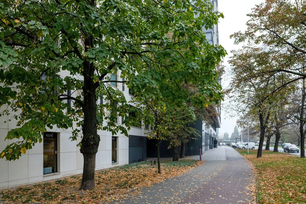 P And O Apartments Solec 15