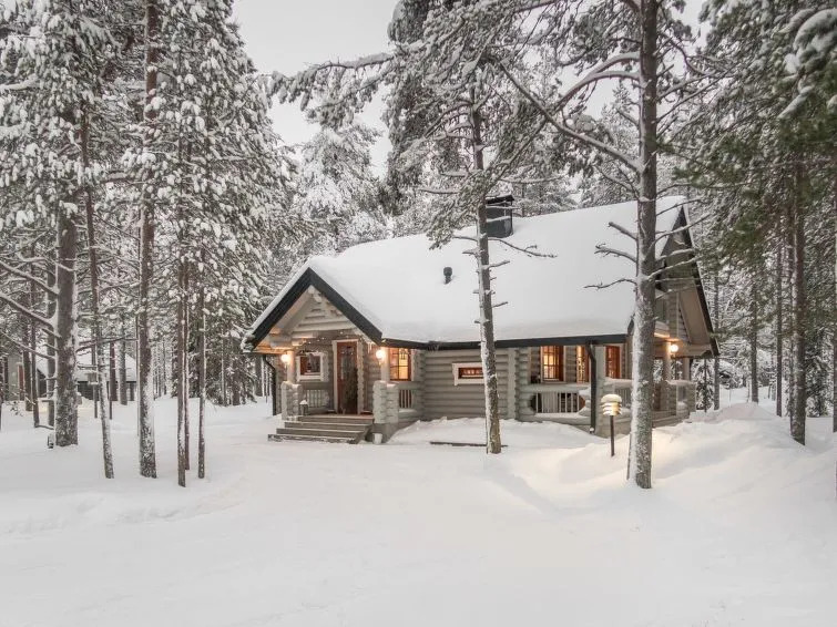 Holiday Home Syväniemi