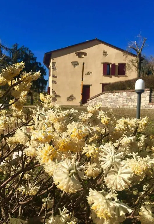 Rosy25 Bassano del Grappa