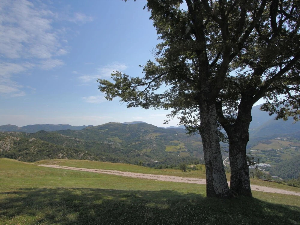 Lovely Holiday home in Apecchio with Pool