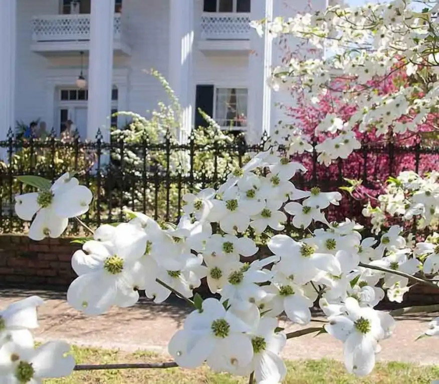 Shadowlawn Bed and Breakfast