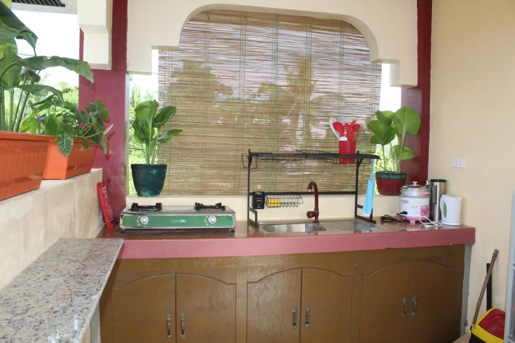 Peace Lily Studio Apartments Panglao