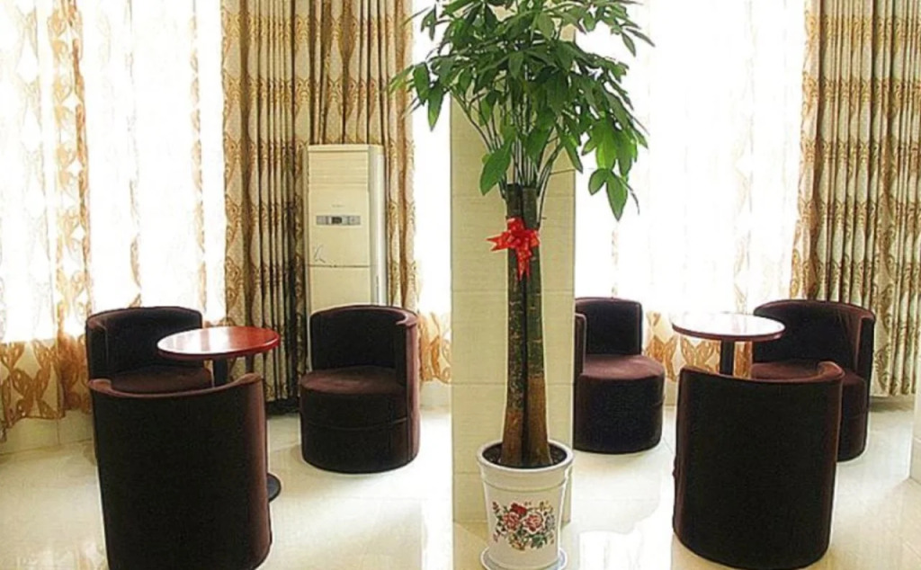 GreenTree Inn Yancheng Dongtai West Wanghai Road Shell Hotel
