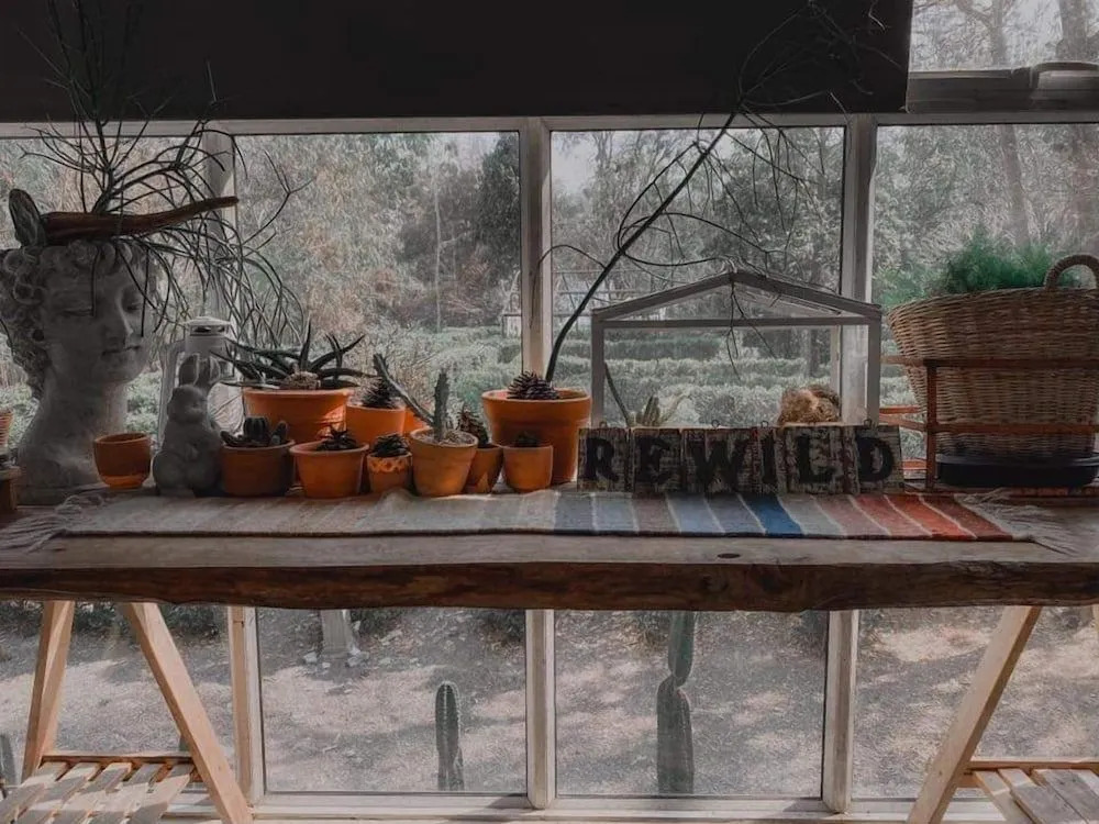 Rewild Camp And Cafe