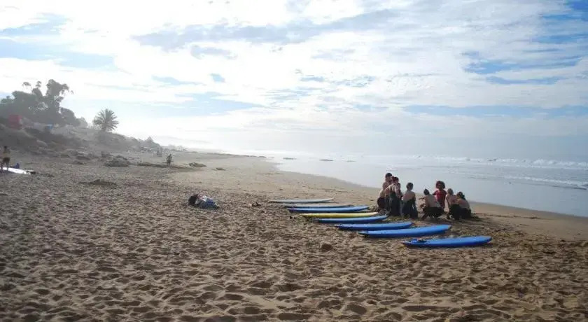 Hashpoint Surf Camp