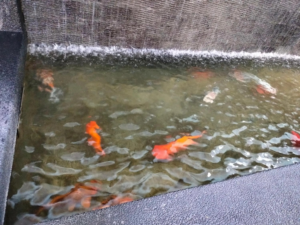 Cyberjaya Shaftesbury 2