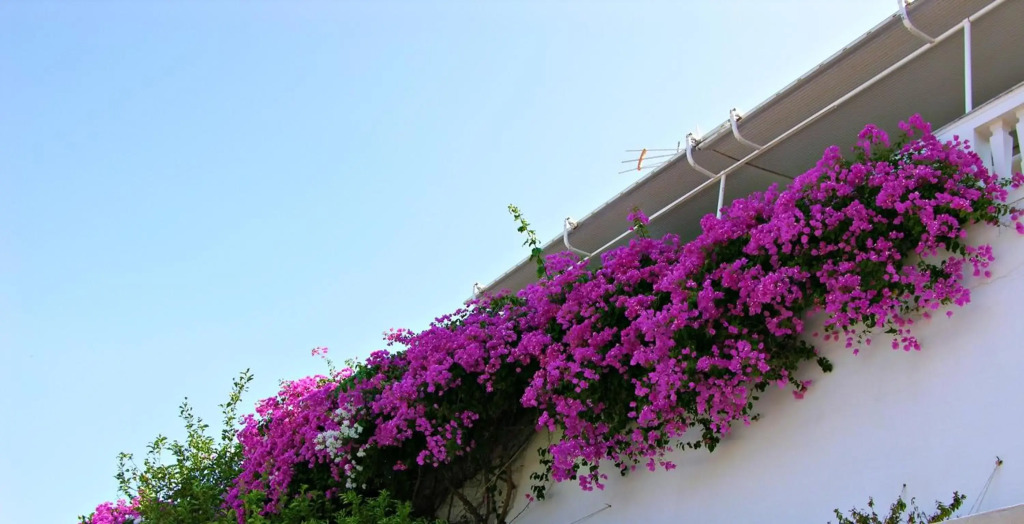 Panoramic Views Home in Hydra, Greece