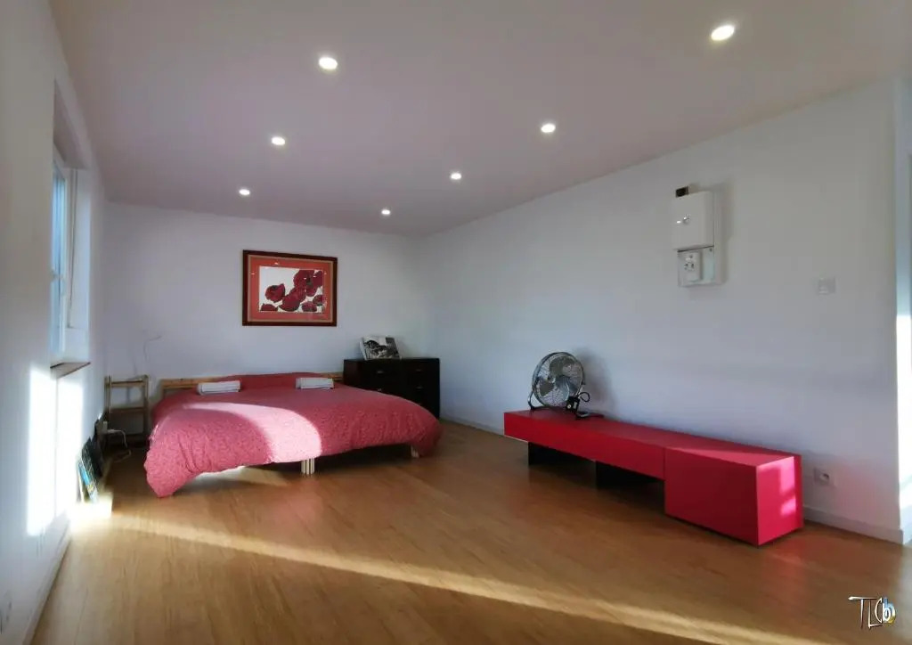 Loft avec Terrasse 77 M2 et 24 M2 STRASBOURG 2 à 6 couchages G Friendly
