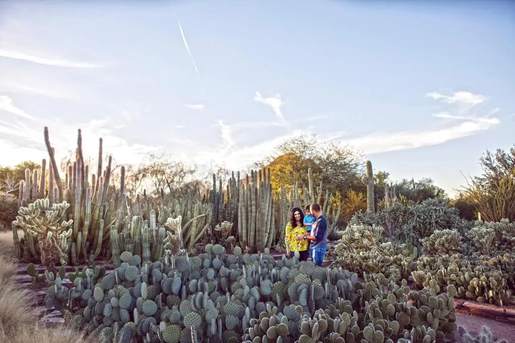 Holiday Inn Express & Suites - Phoenix - Airport North by IHG