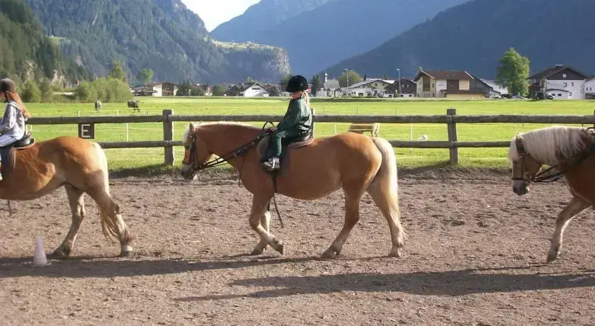 Webershof