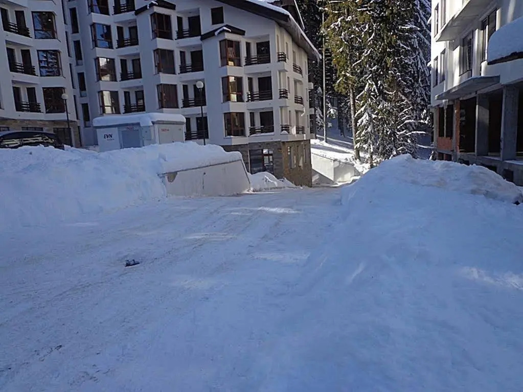 Ski & Holiday Apartments in Pamporovo