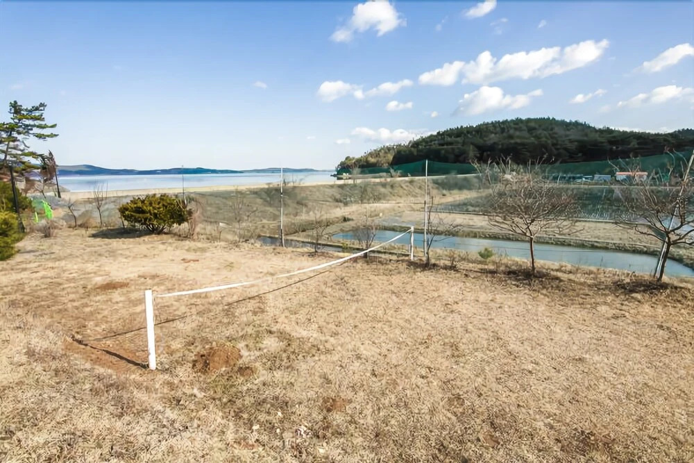 Seosan Travel & Dream Pension