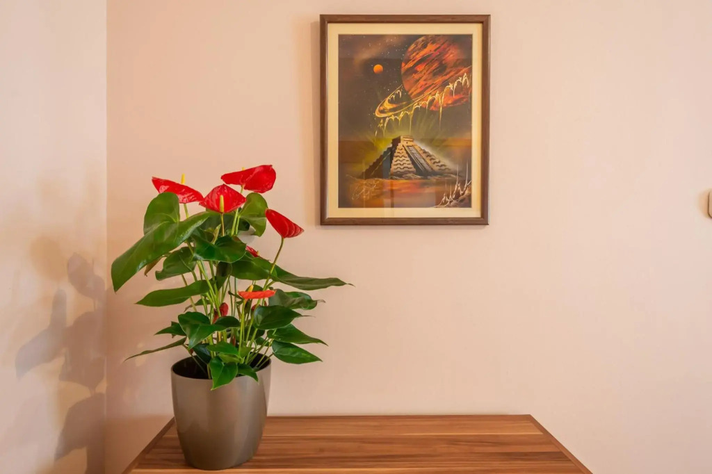 Santos 1214 Apartment