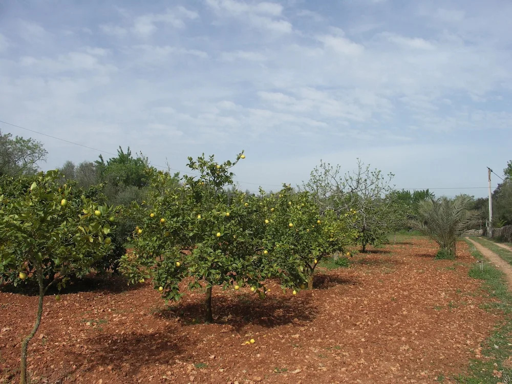 Finca Ca Na Pauleta