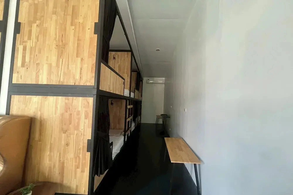 Lazy Lizard Hostel