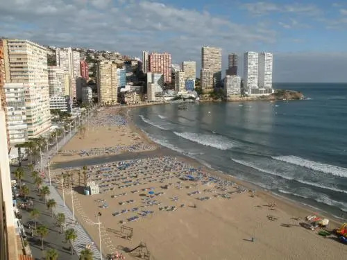 Cachirulo - Fincas Arena