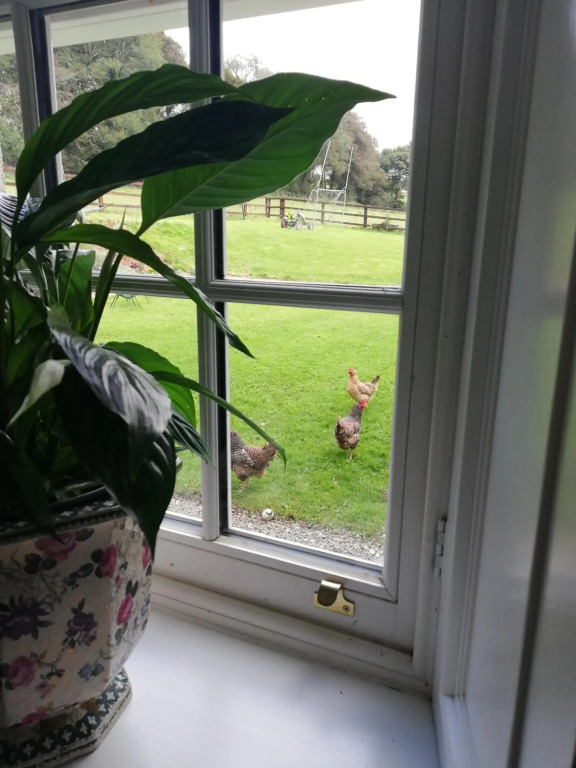 Next door at Broomfield House