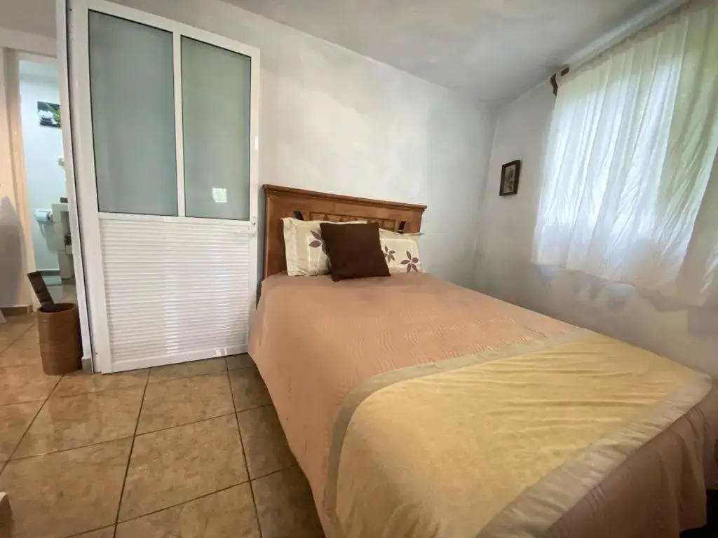 Casa del bosque 2