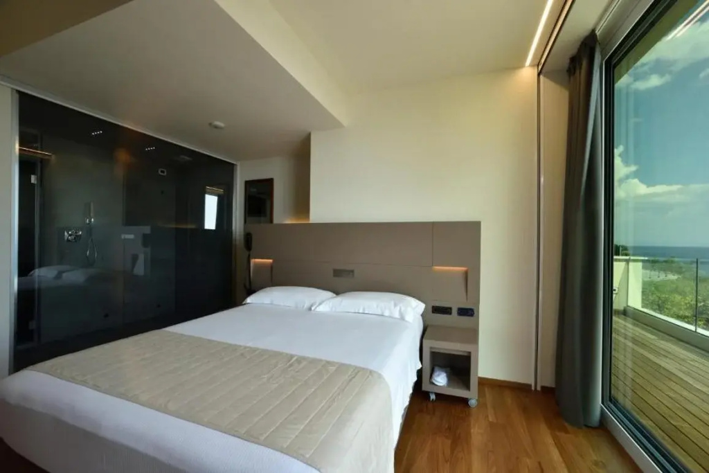 Hotel Le Roi
