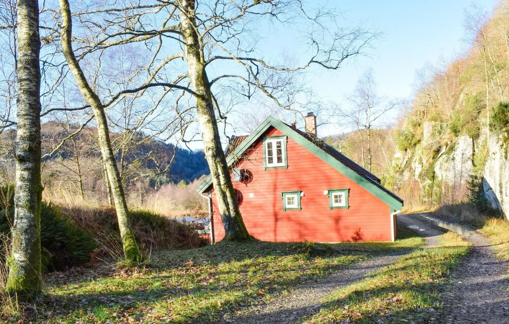 Pet Friendly Home In Lyngdal