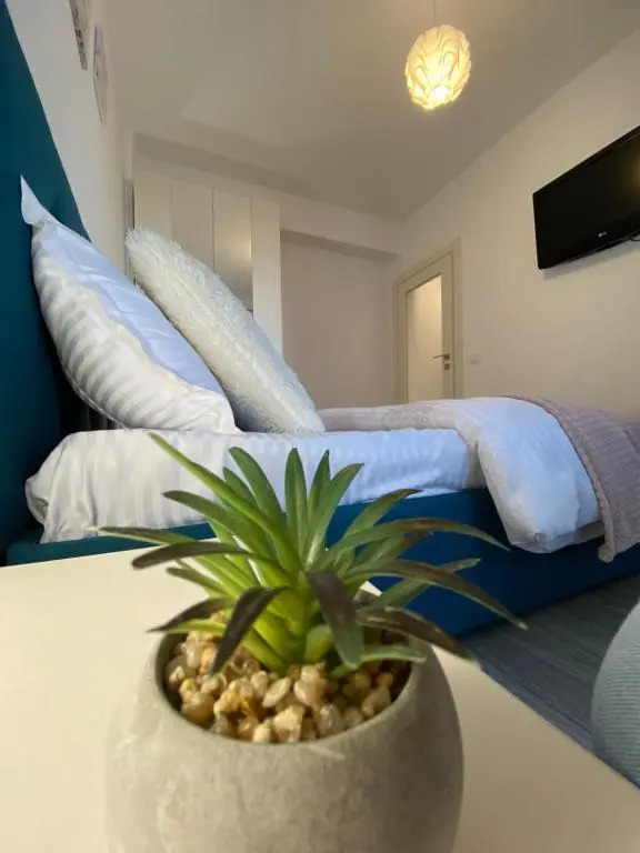 Q Apartaments near Palas Mall