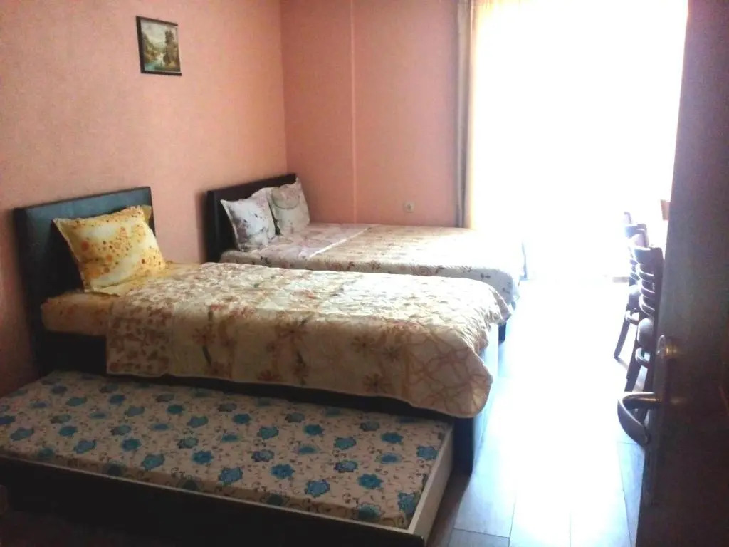 Studio Manushev