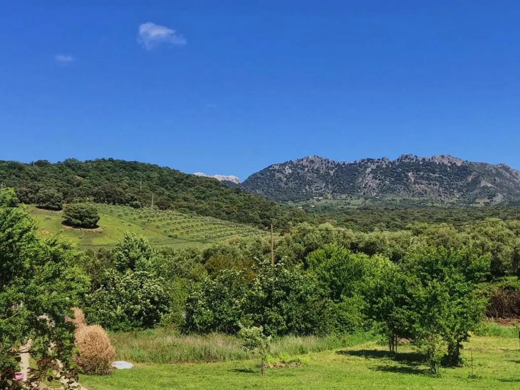 Finca La Rana Verde