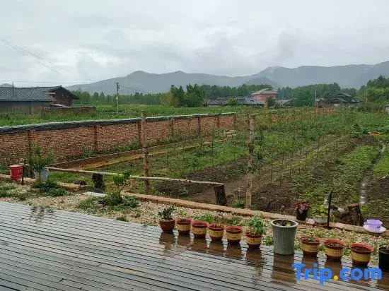 Xingchen Mountain View Courtyard of Lugu Lake