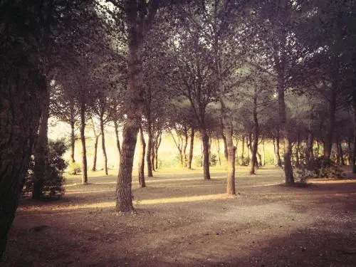 Agriturismo Fontanelle