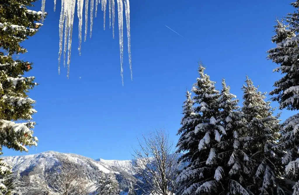 Résidence Les Chardons - 3 Pièces pour 6 Personnes 54