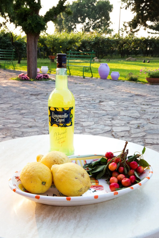 B&B La Chora Di Paestum