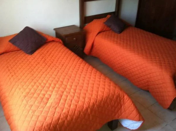 Lion Hostel