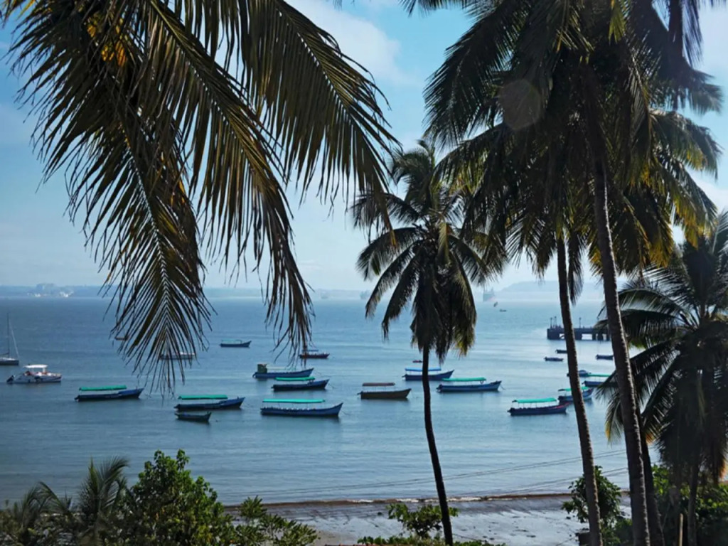The Hawaii Comforts Panjim Donapaula