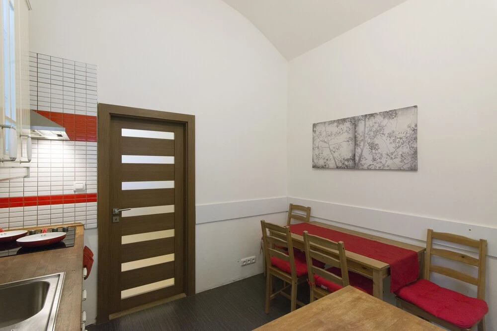 Spacious apartment near Wenceslas Square