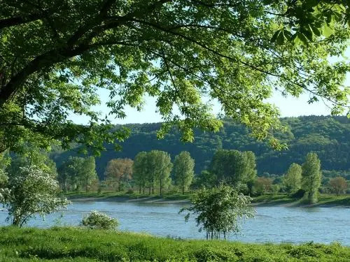 Zur Rheinschanz