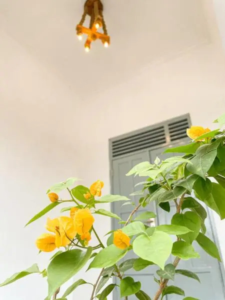 Villa Kamar Tamu Selomartani