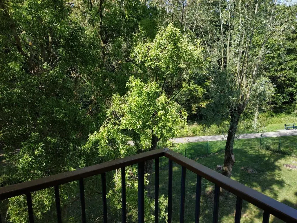 Bonvallet - Studio paisible et chaleureux avec balcon