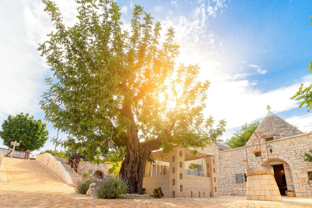Navolte Trulli con Piscina & Relax a Locorotondo