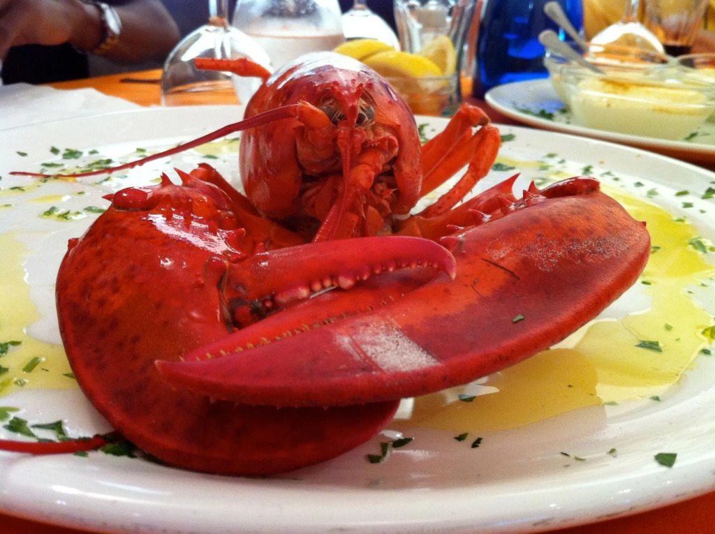 Hotel Stella Maris