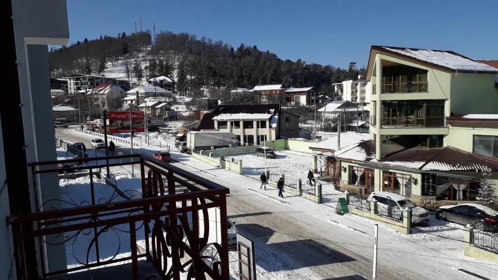 2 room apartment in Bakuriani