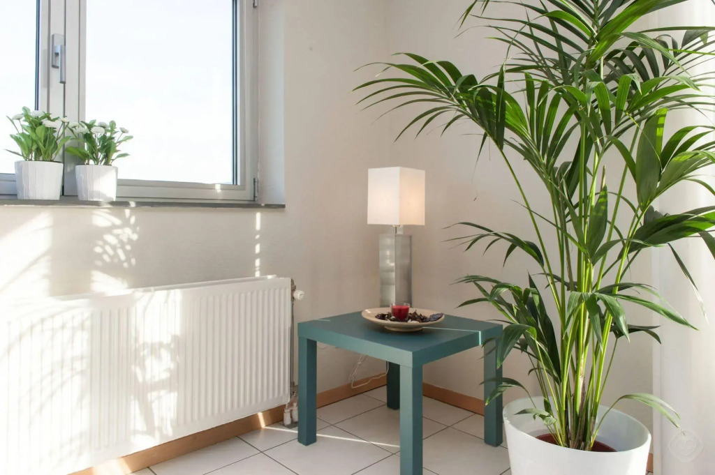 Arena Suite Apartment