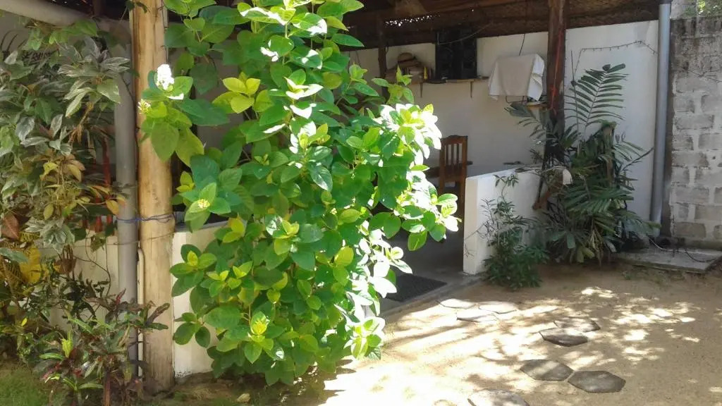 Garden Beach Hotel