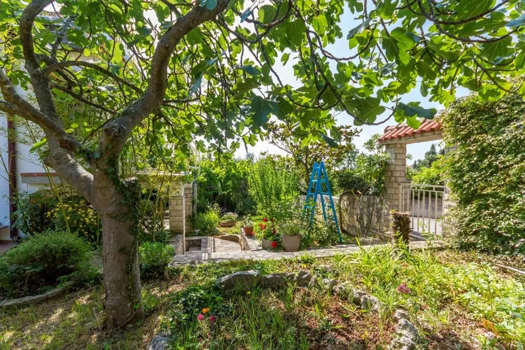Apartments Pimpinella