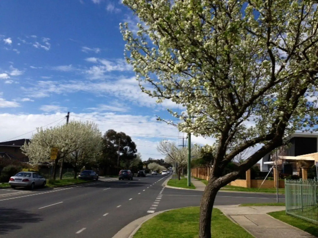 Australian Home Away @ East Doncaster George