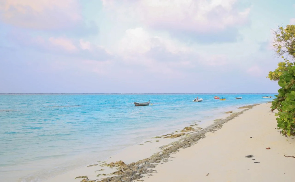 Evila Inn - Thoddoo