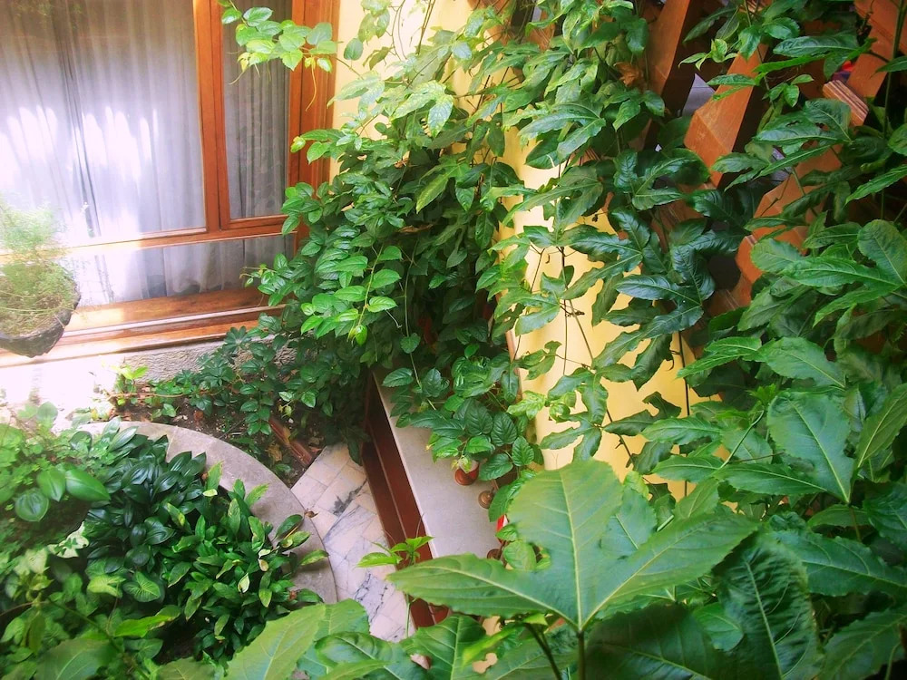 Casa Hoteles Zuetana 106